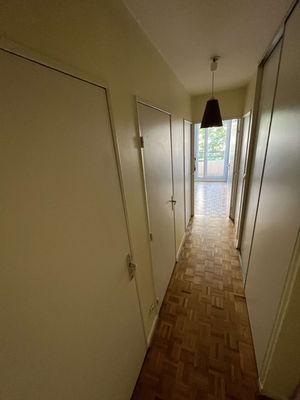 Couloir avec parquet menant au salon à Villeurbanne.
