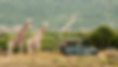 65143-Johannesburg-Gauteng-Province.jpg