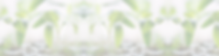 Website Headers (1).png