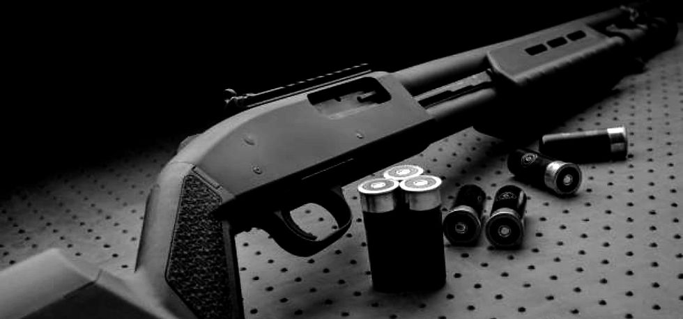 Shotgun_edited.jpg