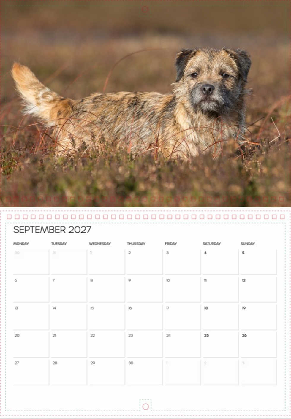 Thumbnail: 2027 DOG PORTRAITS CALENDAR