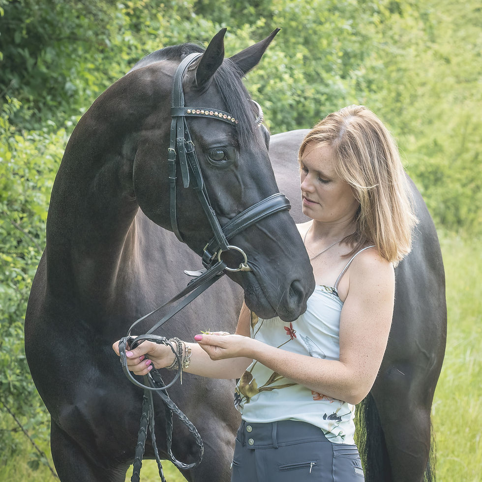 Thumbnail: A 121 EQUINE PHOTOGRAPHY DAY