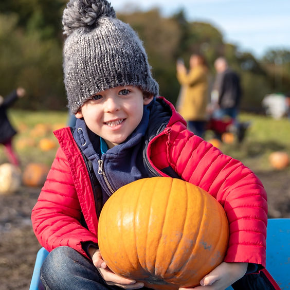Daytime Pumpkin Festival