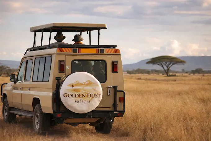 How to Experience a Budget Safari in Tanzania