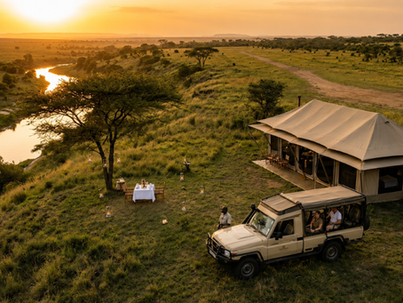 How Much Does a Tanzania Safari Cost? Complete Budget Breakdown
