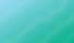 Asset 24.png