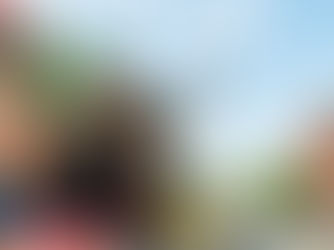 What's Hot in Washington, DC April - June 2025