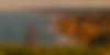 Screenshot 2026-07-13 at 5.29.07 PM.png