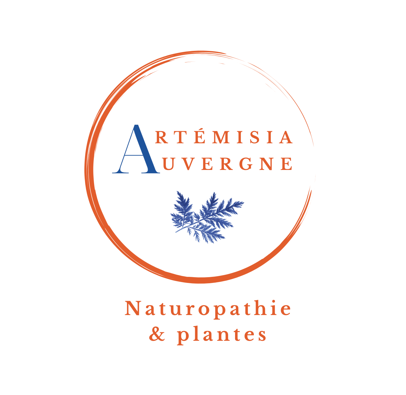 Complément Alimentaire Artémisia Bio - 60 Gélules - Fabriqué En France - Aide Contre Les Douleurs Menstruelles Et SPM