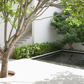 concrete courtyard with commercial landscaping