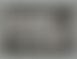 Wardoves - Newsletter January 2022