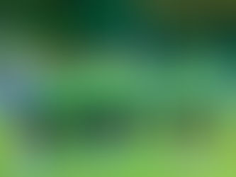 Trzy strzelone gole i wygrana z Zenitem!