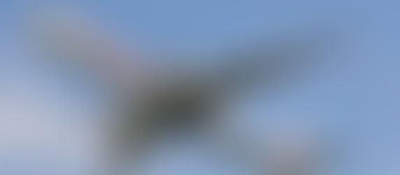 新・政府専用機が来てくれた。