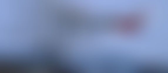 出来が悪く木に突っ込ませた。