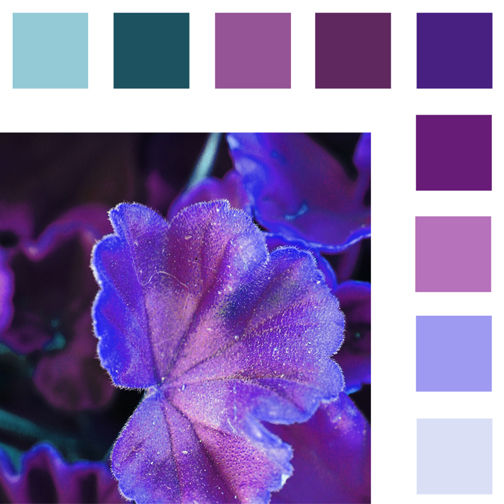Color Palette 1