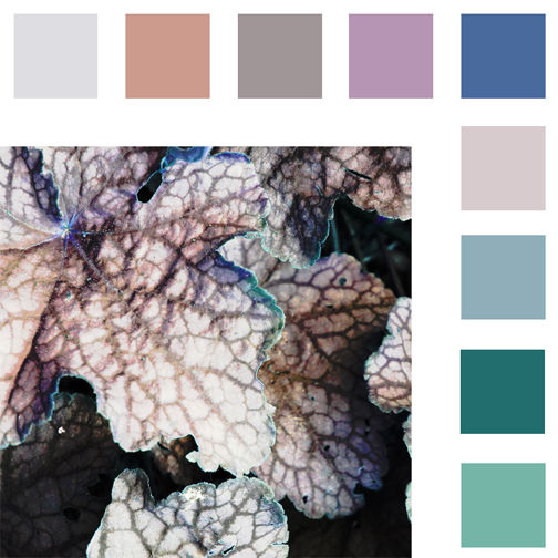 Color Palettes lanlystudio