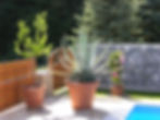 DSCN3618