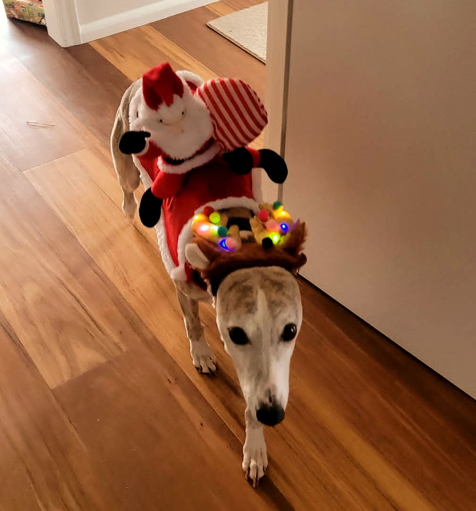 Bennie - Christmas Elf
