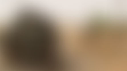 Cinq terroristes neutralisés et des équipements saisis par les FAMa à Ménaka