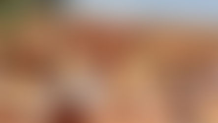 Niger: des prisonniers s'évadent d'une prison détenant des militants dans l'ouest du pays