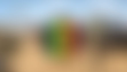 Mali : l’armée ouvre une enquête pour identifier « l’auteur des actes de cannibalisme » perpétrés sur un corps sans vie