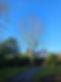 20231208_132050.jpg