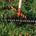 istockphoto-1304659276-612x612.jpg