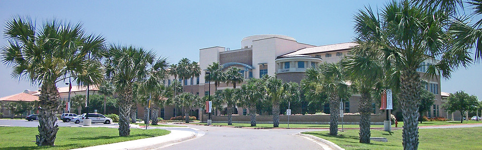 Greater Houston or South Texas