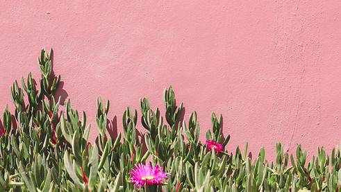 unsplash-dQ1IPut7PMw_edited.jpg