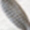 Natural Silver || Ariel Curl