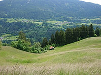 DSC_8215.JPG
