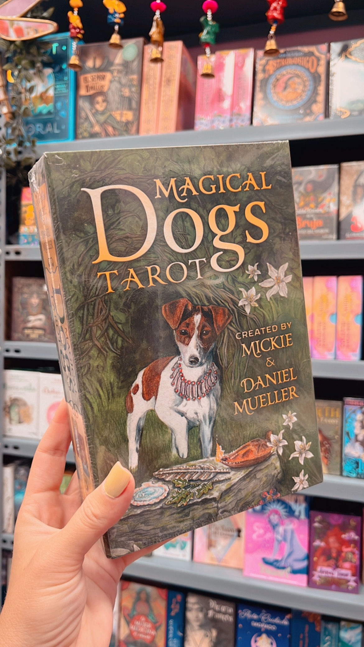 Magic Dogs Tarot (inglés)