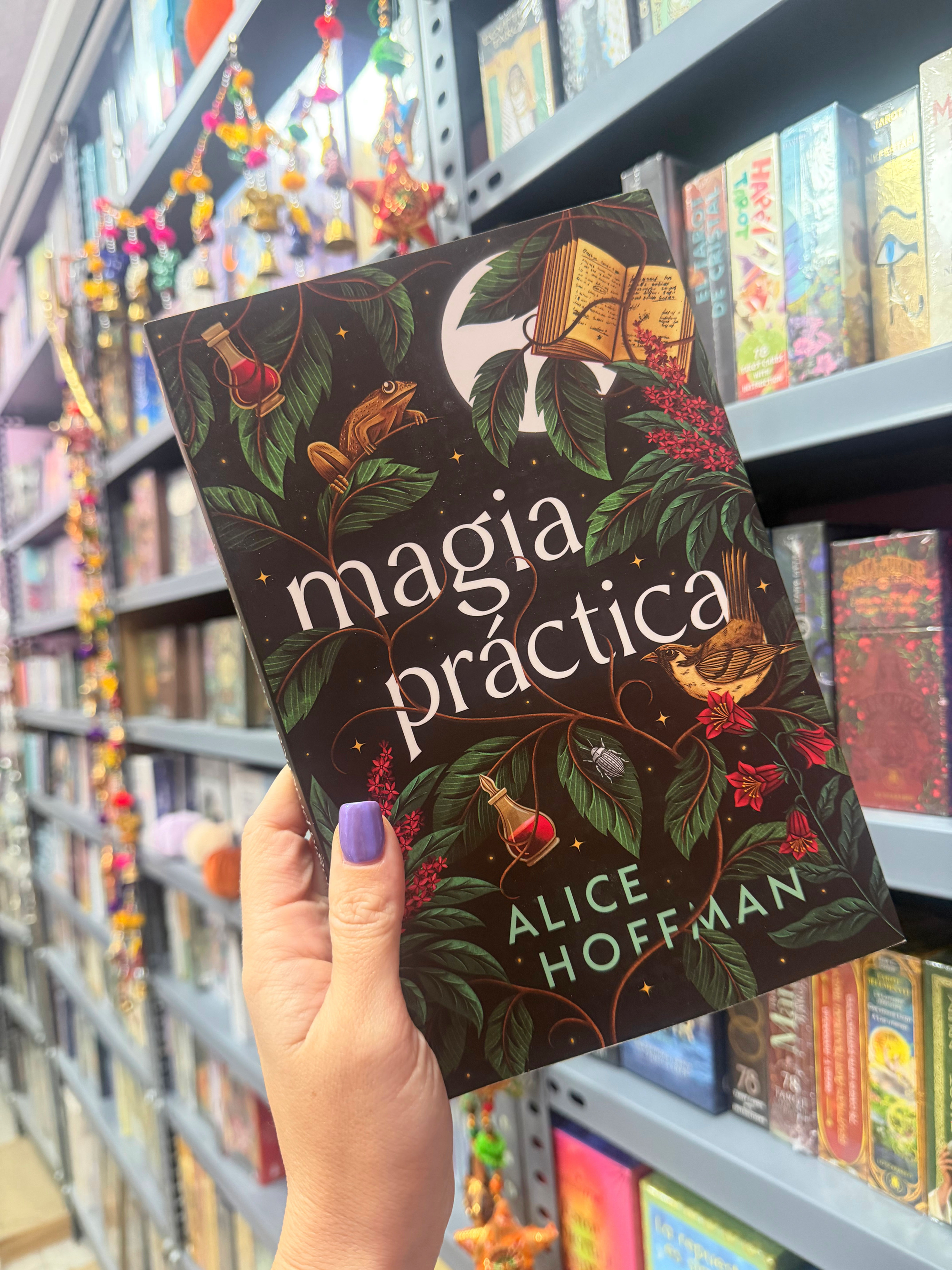 Magia práctica (libro)