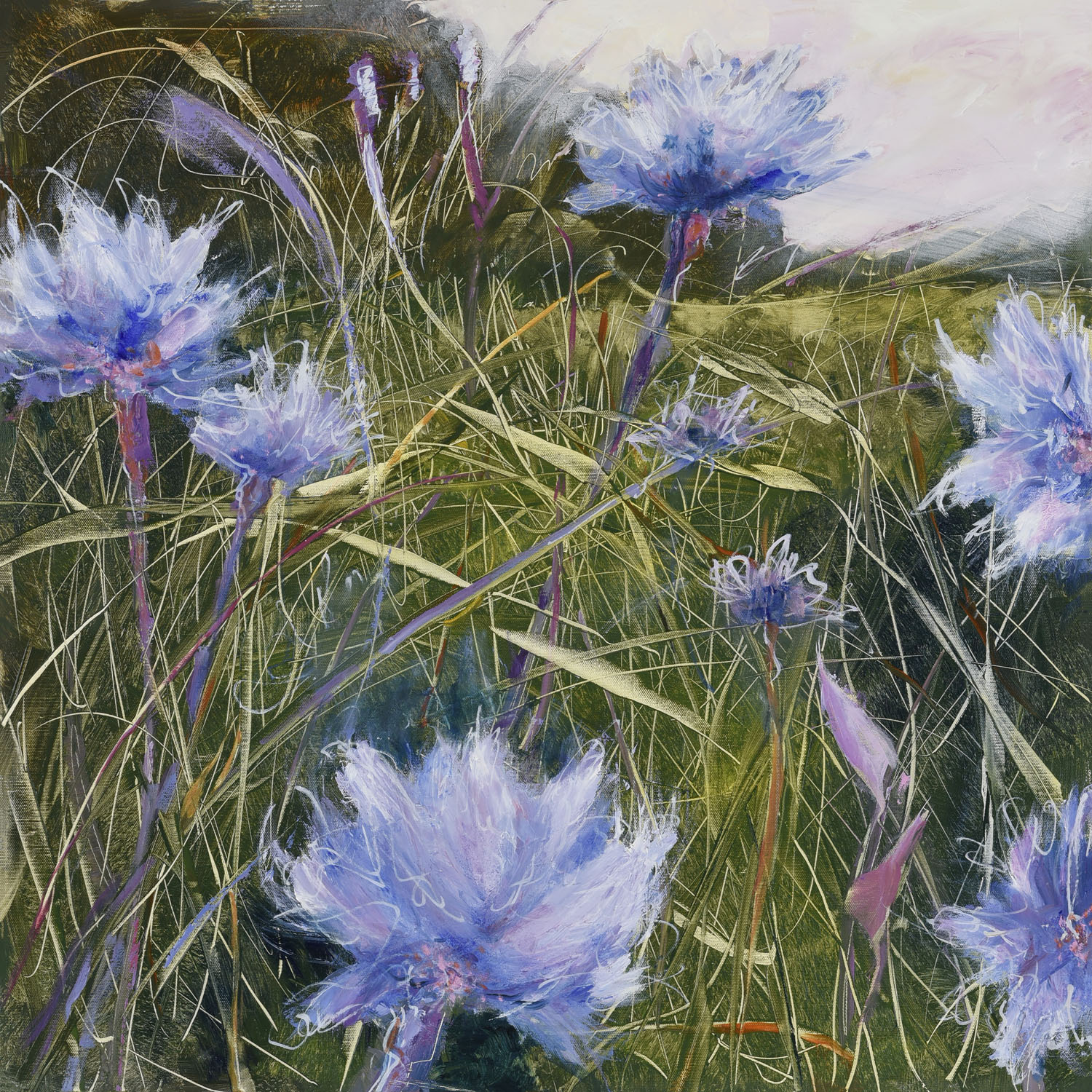 Wild Meadow Flowers