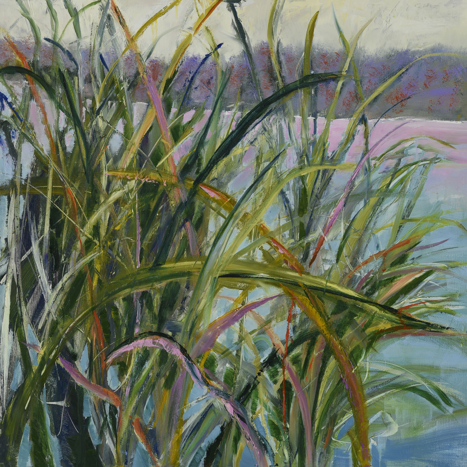Rushes in the Water