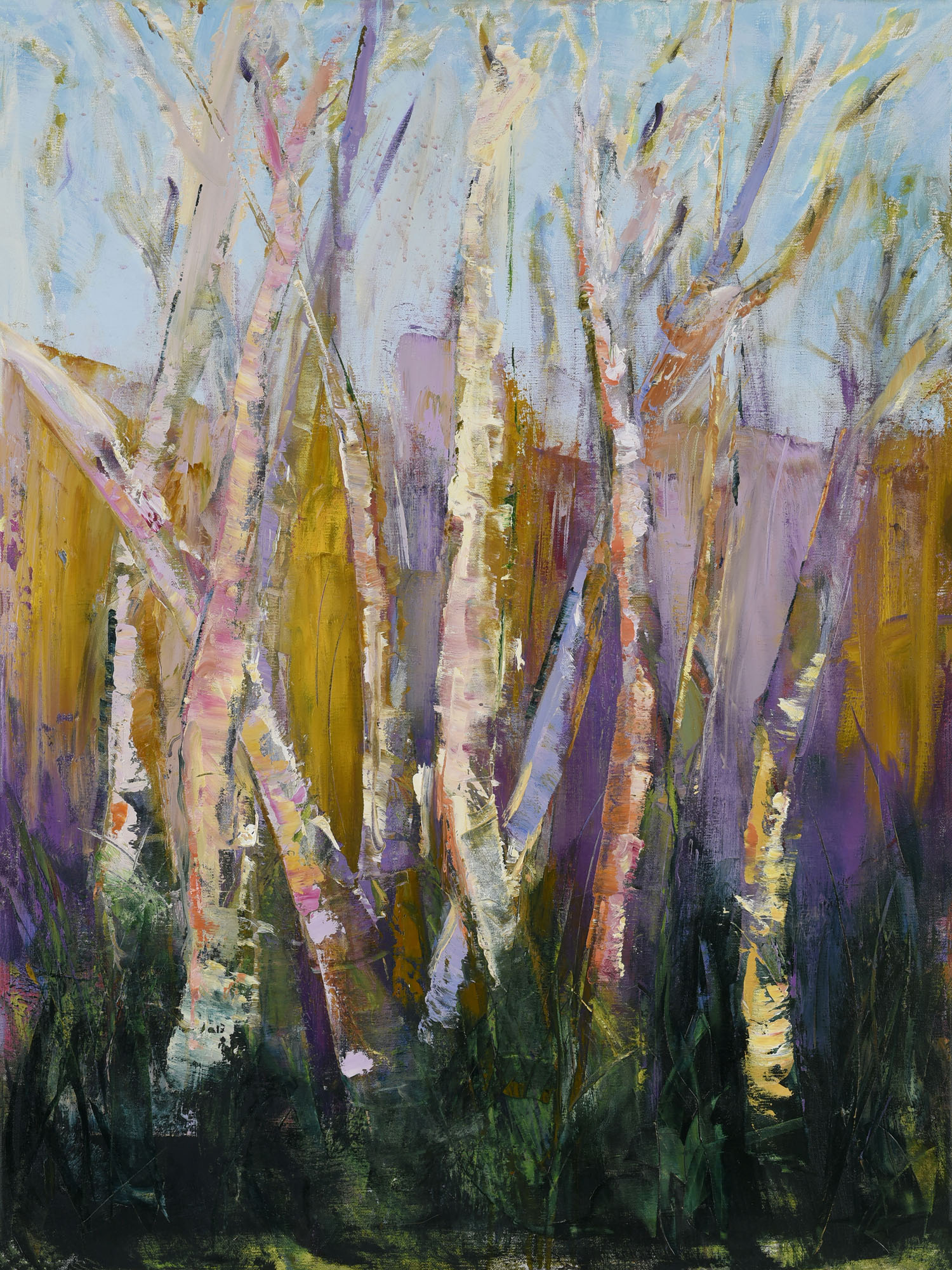 Elegant Birch Trees #2