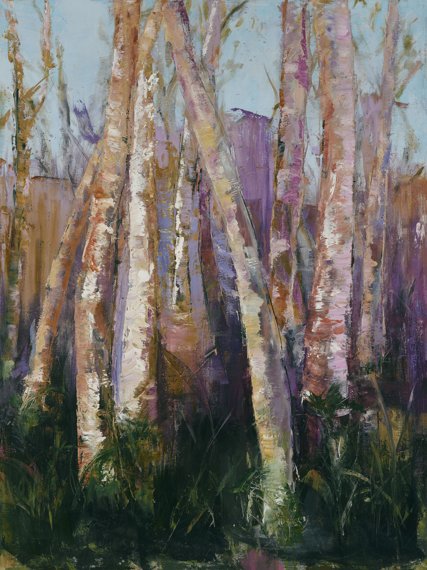 Elegant Birch Trees #1