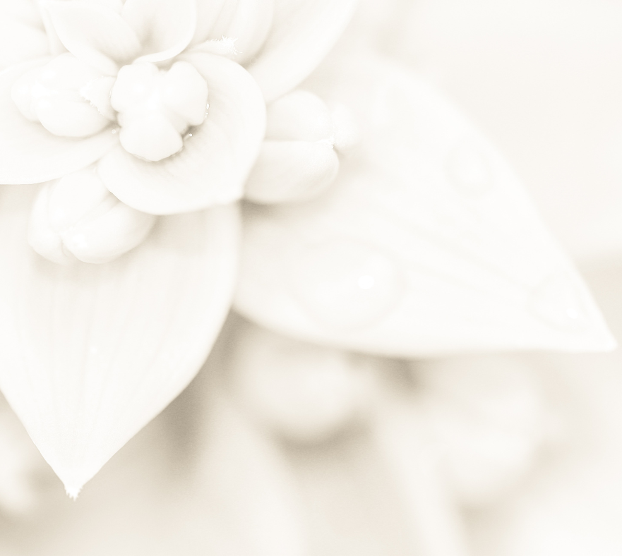 Background 1.png