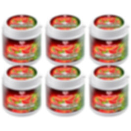Capico Kaugummi Zuckerfrei Wassermelone 6 x 60 Stück (480g)