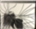 Dessin crayon graphite pour l'oeuvre d'art Lié par l'esprit de CAROW Artiste
