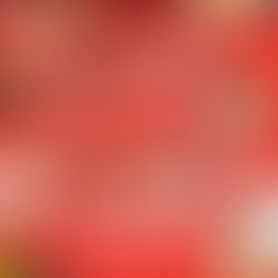 12月19日(金)20日(土) 杜のマルシェに出展します!