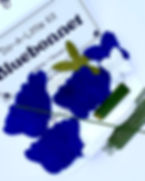 Thumbnail: Bluebonnet & Greenery Stem Kit
