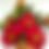 Thumbnail: Holly Sprig