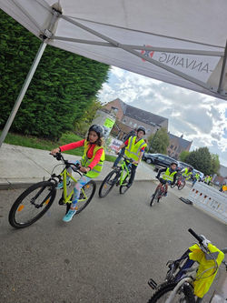 Animation vélos