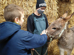 Partons à la ferme