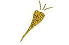 CARROT GOLD (PNG 33%).png