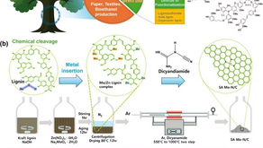 Congrats Dr. Park & Junbeom for their paper in Advanced Science!