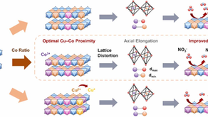 Gawon's paper is accepted to publish in Nano Energy