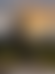 On the road to the winter season, a stop in the vineyards