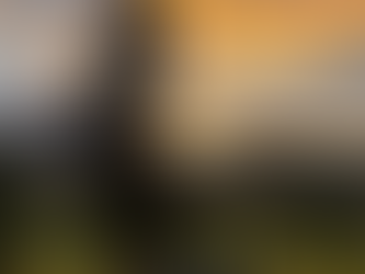 On the road to the winter season, a stop in the vineyards